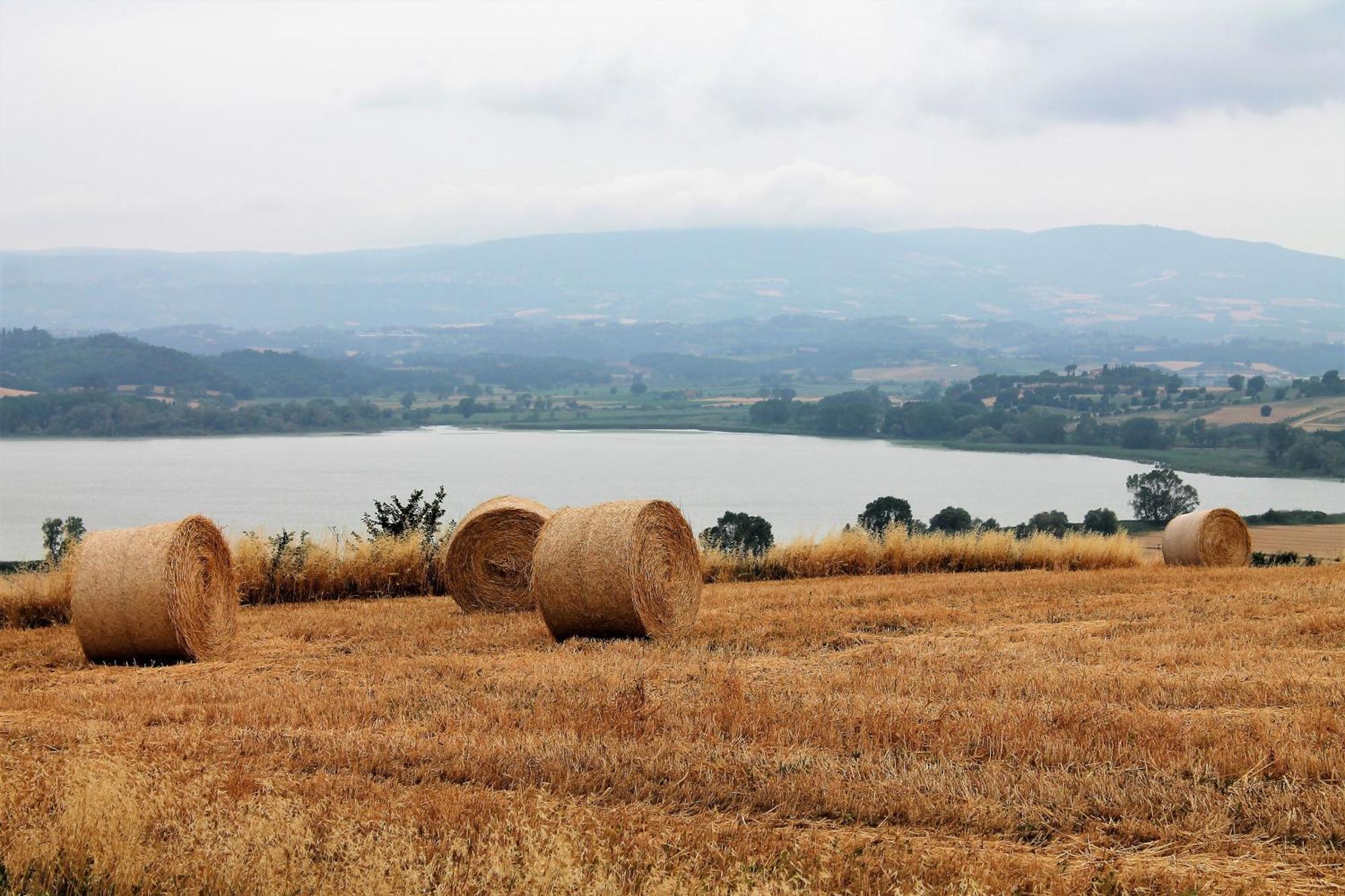 Terracqua & Locanda Granducato Chiusi Esterno foto